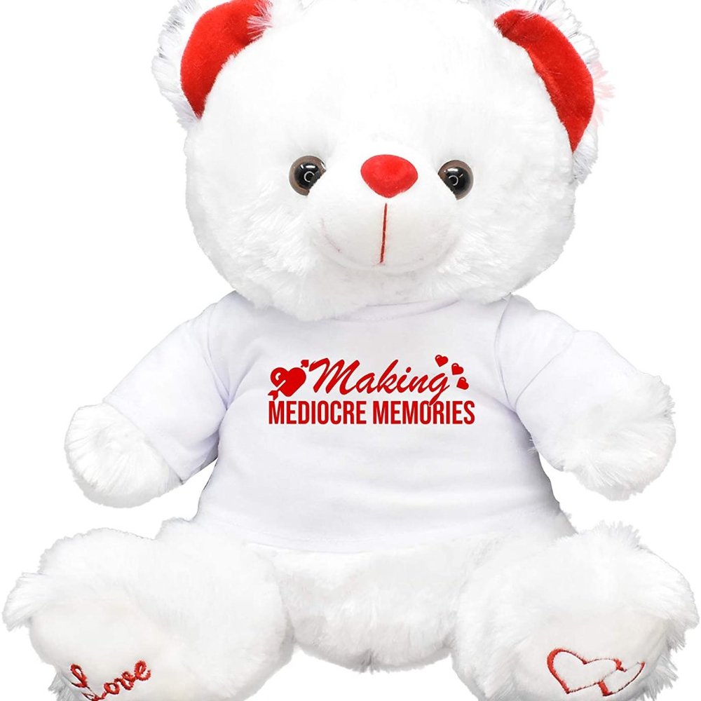 Memories Valentines Gift Teddy Bear Girl Friend